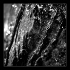 aQuastratta