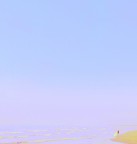 surfista