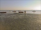 Bassa marea(1)