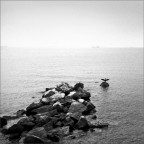 Trieste-Barcola.Un cormorano si ascuga le ali al vento. Jupiter-8 50mm,Voigtlander Bessa R2,pellicola Fomapan 200 iso,Epson V500.