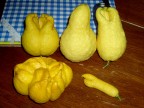 La strana Famiglia