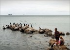 Il posto dei cormorani