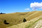 Lessinia Landscape