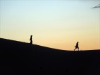 Gobi