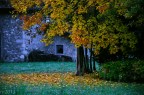 scorcio di ruralit autunnale