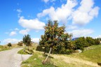 Lessinia Landscape