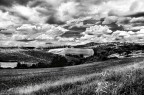 la toscana in b/n la toscana in b/n