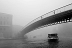 Into the Fog