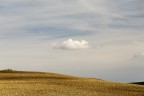 st