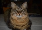 Sono alle primissime armi con una reflex quindi cercate di non essere troppo cattivi...accetto aiti per capire e imparare la fotografia