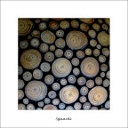 Sguardi