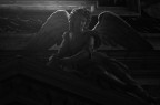 Dark Angel