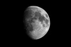 luna b/w 1920