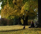 RELAX AL PARCO
