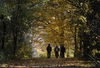RELAX NEL BOSCO