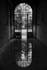 Riflessi