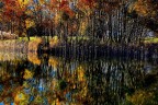 Colori d'autunno