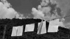 Parole al vento