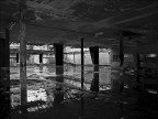 Desolazione(1)