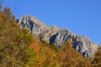 Toraggio, alpi liguri