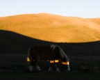 C/O Campo Imperatore.
645Z+55 FA