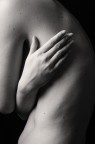 Particolare 3