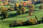 Autunno