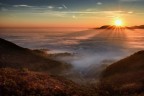 Alba