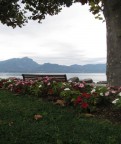 Questa immagine fatta sul Lago Di Garda  una semplice foto:
una panchina, un albero, fiori, in primo piano; sullo sfondo il lago e le montagne.
Scrivete le vostre opinioni e consigli, in modo tale da migliorare