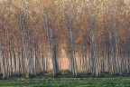 Autunno 2015