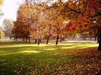 autunno in citt