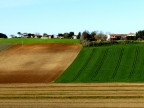 campagna marchigiana
