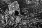 the witch project