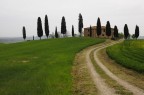 Paesaggio toscano, in una giornata grigia...