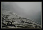 Momenti d'inverno