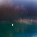 ... di smeraldo
