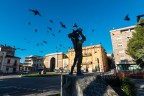 La carica dei piccioni