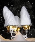 quanta neve!