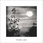 Atmosfera japan