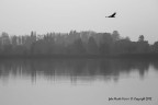 foto Nicola Vicini  Copyright 2015

Lago de Segrino
5 Dicembre 2015