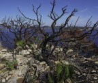 colori (Capo Caccia)