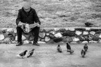 Quotidianetà... Quotidianetà...