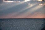Mare dentro