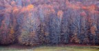 Un altro giorno - Parco Nazionale della Sila