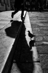 Lucca - 2015