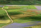 Piana di Castelluccio...coppia a passeggio