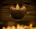 Buona Natale!!