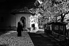Orario delle Preghiere...