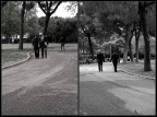Vecchi amici al parco