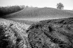 Campagne toscane Campagne toscane